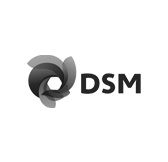 Dsm